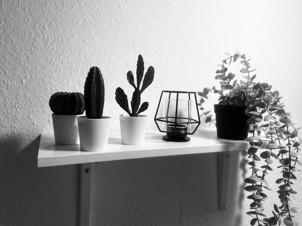 Komfortables Apartment Karlsruhe Ngoại thất bức ảnh